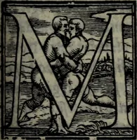 Picture 12 of 26 from Varii componimenti di M. Hort. Lando, nvovamenti venvti in lvce : Quesiti amorosi, con le risposte. Dialogo intitolato Ulisse. Ragionamento occorso tra un cavalliere, & un'huomo soletario. Alcune novelle. Alcune favole. Alcuni scroppoli, che sogliono occorrere nella cottidiana nostra lingua (1552), leaf 206