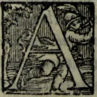 Picture 13 of 26 from Varii componimenti di M. Hort. Lando, nvovamenti venvti in lvce : Quesiti amorosi, con le risposte. Dialogo intitolato Ulisse. Ragionamento occorso tra un cavalliere, & un'huomo soletario. Alcune novelle. Alcune favole. Alcuni scroppoli, che sogliono occorrere nella cottidiana nostra lingua (1552), leaf 211