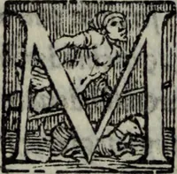 Picture 15 of 26 from Varii componimenti di M. Hort. Lando, nvovamenti venvti in lvce : Quesiti amorosi, con le risposte. Dialogo intitolato Ulisse. Ragionamento occorso tra un cavalliere, & un'huomo soletario. Alcune novelle. Alcune favole. Alcuni scroppoli, che sogliono occorrere nella cottidiana nostra lingua (1552), leaf 225
