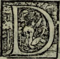 Picture 23 of 26 from Varii componimenti di M. Hort. Lando, nvovamenti venvti in lvce : Quesiti amorosi, con le risposte. Dialogo intitolato Ulisse. Ragionamento occorso tra un cavalliere, & un'huomo soletario. Alcune novelle. Alcune favole. Alcuni scroppoli, che sogliono occorrere nella cottidiana nostra lingua (1552), leaf 279