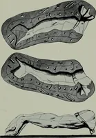 Picture 18 of 35 from Vasari on technique; being the introduction to the three arts of design, architecture, sculpture and painting, prefixed to the Lives of the most excellent painters, sculptors and architects (1907), leaf 206