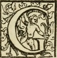 An illustration from Vaticinia, siue, Prophetiae abbatis Joachimi & Anselmi episcopi Marsicani : cum imaginibus aere incisis, correctione et pulcritudine, plurium manuscriptorum exemplariu op[er]e ... : qvibvs rota et oraculum turcicum maxime considerationis adiecta sunt : vna cum praefatione et adnotationibus Paschalini Regiselmi = Vaticinii, ouero, Profetie dell'abbate Gioachino & di Anselmo vescovo di Marsico .. (1589)