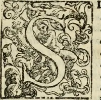 An illustration from Vaticinia, siue, Prophetiae abbatis Joachimi & Anselmi episcopi Marsicani : cum imaginibus aere incisis, correctione et pulcritudine, plurium manuscriptorum exemplariu op[er]e ... : qvibvs rota et oraculum turcicum maxime considerationis adiecta sunt : vna cum praefatione et adnotationibus Paschalini Regiselmi = Vaticinii, ouero, Profetie dell'abbate Gioachino & di Anselmo vescovo di Marsico .. (1589)