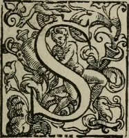 An illustration from Vaticinia, siue Prophetiae Abbatis Ioachimi, & Anselmi Episcopi Marsicani : cum imaginibus aere incisis, correctione, et pulcritudine, plurium manuscriptorum exemplariu[m] op[er]e, et uariu[m] imaginu[m] tabulis, et delineationibu[s] alijs antehac impressis longè praestantiora; quibus rota, et oraculum Turcicum maxime considerationis adiecta sunt (1600)