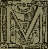 An illustration from Vaticinia, sive, Prophetiae Abbatis Ioachimi, [and] Anselmi Episcopi Marsicani; cum imaginibus aere incisis, correctione, et pulcritudine, plurium manuscriptorum exemplari ope, et variar imagin tabulis, et delineationibù, aliis antehac impressis longè praestantiora; quibus Rota, et Oraculum Turcicum maxime considerationis adiecta sunt; una cum praefatione et adnotationibus Paschalini Regiselmi (1600)