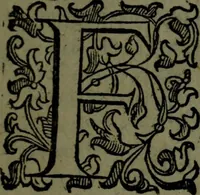 An illustration from Vaticinia, sive, Prophetiae Abbatis Ioachimi, [and] Anselmi Episcopi Marsicani; cum imaginibus aere incisis, correctione, et pulcritudine, plurium manuscriptorum exemplari ope, et variar imagin tabulis, et delineationibù, aliis antehac impressis longè praestantiora; quibus Rota, et Oraculum Turcicum maxime considerationis adiecta sunt; una cum praefatione et adnotationibus Paschalini Regiselmi (1600)