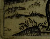 An illustration from Vaticinia, sive, Prophetiae Abbatis Ioachimi, [and] Anselmi Episcopi Marsicani; cum imaginibus aere incisis, correctione, et pulcritudine, plurium manuscriptorum exemplari ope, et variar imagin tabulis, et delineationibù, aliis antehac impressis longè praestantiora; quibus Rota, et Oraculum Turcicum maxime considerationis adiecta sunt; una cum praefatione et adnotationibus Paschalini Regiselmi (1600)
