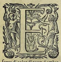An illustration from Vccelliera, overo, Discorso della natvra, e proprieta di diversi vccelli : e in particolare di qve'che cantano : con il modo di prendergli, conoscergli, alleuargli, e mantenergli : e con le figure cauate dal vero, e diligentemente intagliate in rame dal Tempesta, e dal Villamena (1622)