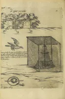 Picture 34 of 47 from Vccelliera, overo, Discorso della natvra, e proprieta di diversi vccelli : e in particolare di qve'che cantano : con il modo di prendergli, conoscergli, alleuargli, e mantenergli : e con le figure cauate dal vero, e diligentemente intagliate in rame dal Tempesta, e dal Villamena (1622), leaf 116