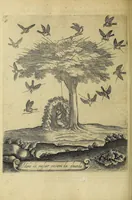 Picture 35 of 47 from Vccelliera, overo, Discorso della natvra, e proprieta di diversi vccelli : e in particolare di qve'che cantano : con il modo di prendergli, conoscergli, alleuargli, e mantenergli : e con le figure cauate dal vero, e diligentemente intagliate in rame dal Tempesta, e dal Villamena (1622), leaf 120