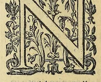 An illustration from Vccelliera, overo, Discorso della natvra, e proprieta di diversi vccelli : e in particolare di qve'che cantano : con il modo di prendergli, conoscergli, alleuargli, e mantenergli : e con le figure cauate dal vero, e diligentemente intagliate in rame dal Tempesta, e dal Villamena (1622)