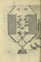 Picture 10 of 47 from Vccelliera, overo, Discorso della natvra, e proprieta di diversi vccelli : e in particolare di qve'che cantano : con il modo di prendergli, conoscergli, alleuargli, e mantenergli : e con le figure cauate dal vero, e diligentemente intagliate in rame dal Tempesta, e dal Villamena (1622), leaf 50