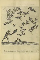 Picture 11 of 47 from Vccelliera, overo, Discorso della natvra, e proprieta di diversi vccelli : e in particolare di qve'che cantano : con il modo di prendergli, conoscergli, alleuargli, e mantenergli : e con le figure cauate dal vero, e diligentemente intagliate in rame dal Tempesta, e dal Villamena (1622), leaf 52