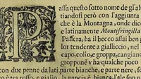 Picture 20 of 47 from Vccelliera, overo, Discorso della natvra, e proprieta di diversi vccelli : e in particolare di qve'che cantano : con il modo di prendergli, conoscergli, alleuargli, e mantenergli : e con le figure cauate dal vero, e diligentemente intagliate in rame dal Tempesta, e dal Villamena (1622), leaf 77