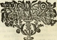 An illustration from V. Cl. D. Antonii de Sousa de Macedo ... Decisiones Supremi Senatus iustitiae Lusitaniae, & supremi consilij fisci ac patrimonij regij, cum grauissimis collegis decretae : triplici indice locupletatae (1677)