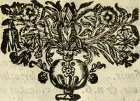 Picture 19 of 22 from V. Cl. D. Antonii de Sousa de Macedo ... Decisiones Supremi Senatus iustitiae Lusitaniae, & supremi consilij fisci ac patrimonij regij, cum grauissimis collegis decretae : triplici indice locupletatae (1677), leaf 221
