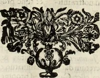 An illustration from V. Cl. D. Antonii de Sousa de Macedo ... Decisiones Supremi Senatus iustitiae Lusitaniae, & supremi consilij fisci ac patrimonij regij, cum grauissimis collegis decretae : triplici indice locupletatae (1677)