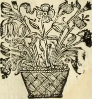 An illustration from V. Cl. D. Antonii de Sousa de Macedo ... Decisiones Supremi Senatus iustitiae Lusitaniae, & supremi consilij fisci ac patrimonij regij, cum grauissimis collegis decretae : triplici indice locupletatae (1677)