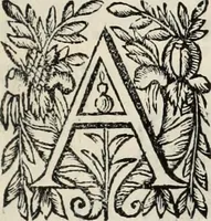 Picture 3 of 22 from V. Cl. D. Antonii de Sousa de Macedo ... Decisiones Supremi Senatus iustitiae Lusitaniae, & supremi consilij fisci ac patrimonij regij, cum grauissimis collegis decretae : triplici indice locupletatae (1677), leaf 6
