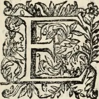 An illustration from V. Cl. D. Antonii de Sousa de Macedo ... Decisiones Supremi Senatus iustitiae Lusitaniae, & supremi consilij fisci ac patrimonij regij, cum grauissimis collegis decretae : triplici indice locupletatae (1677)