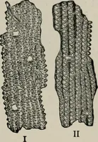 An illustration from The microscopy of vegetable foods, with special reference to the detection of adulteration and the diagnosis of mixtures (1916)