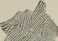 An illustration from The microscopy of vegetable foods, with special reference to the detection of adulteration and the diagnosis of mixtures (1916)