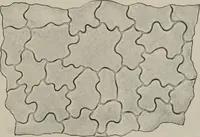 An illustration from The microscopy of vegetable foods, with special reference to the detection of adulteration and the diagnosis of mixtures (1916)