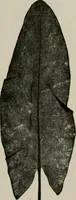 An illustration from The microscopy of vegetable foods, with special reference to the detection of adulteration and the diagnosis of mixtures (1916)