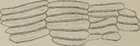 An illustration from The microscopy of vegetable foods, with special reference to the detection of adulteration and the diagnosis of mixtures (1916)