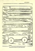 Picture 51 of 51 from Vegecivs De re miltari (1511), leaf 199