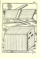 Picture 9 of 51 from Vegecivs De re miltari (1511), leaf 29