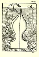Picture 10 of 51 from Vegecivs De re miltari (1511), leaf 33