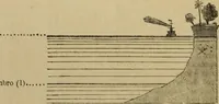 An illustration from Vellosia (1885)