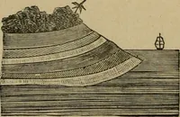 An illustration from Vellosia (1885)