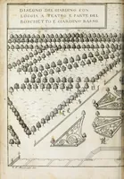 Picture 9 of 29 from Venaria Reale : palazzo di piacere, e di caccia, ideato dall'altezza reale di Carlo Emanvel II, duca di Sauoia, re di Cipro &c. (1674), leaf 176