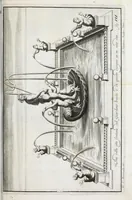 Picture 12 of 29 from Venaria Reale : palazzo di piacere, e di caccia, ideato dall'altezza reale di Carlo Emanvel II, duca di Sauoia, re di Cipro &c. (1674), leaf 185