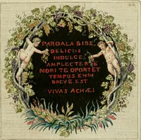 Picture 34 of 35 from Veneres uti observantur in gemmis antiquis (1771), leaf 132