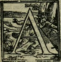 An illustration from Venetia, citta nobilissima et singolare (1581)