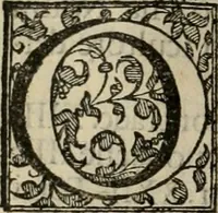 An illustration from Venetia, citta nobilissima et singolare (1581)