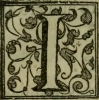 An illustration from Venetia, citta nobilissima et singolare (1581)