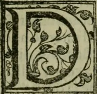 An illustration from Venetia, citta nobilissima et singolare (1581)