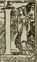 An illustration from Venetia, citta nobilissima et singolare (1581)