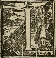 An illustration from Venetia, citta nobilissima et singolare (1581)