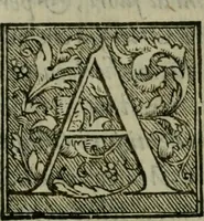 An illustration from Venetia, citta nobilissima et singolare (1581)