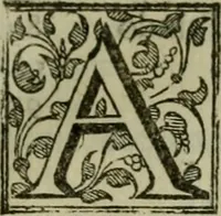 An illustration from Venetia, citta nobilissima et singolare (1581)