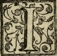 An illustration from Venetia, citta nobilissima et singolare (1581)