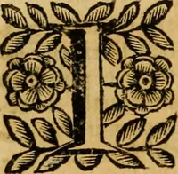 An illustration from Venetia, città nobilissima, et singolare : descritta in XIIII. libri (1663)