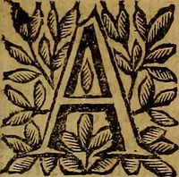 An illustration from Venetia, città nobilissima, et singolare : descritta in XIIII. libri (1663)