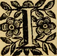 An illustration from Venetia, città nobilissima, et singolare : descritta in XIIII. libri (1663)