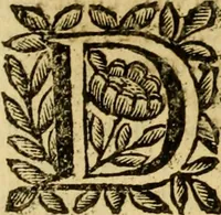An illustration from Venetia, città nobilissima, et singolare : descritta in XIIII. libri (1663)